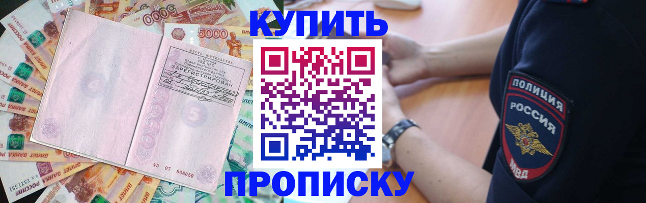 временная регистрация поиск в Зее
